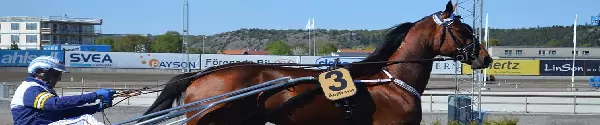 ATG sportbonus
