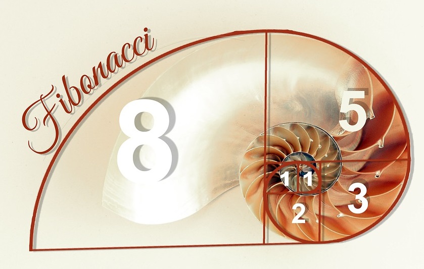 Fibonacci betting system - Bettingstrategi