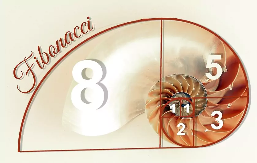 Fibonacci betting system - Bettingstrategi
