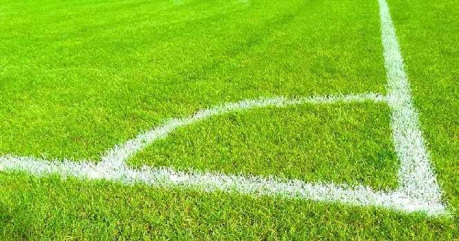 Fullträffen hos Svenska Spel