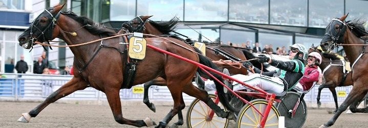 Spelbolag med spellicens och travbonus