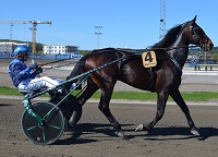 Trav hos Mr Green